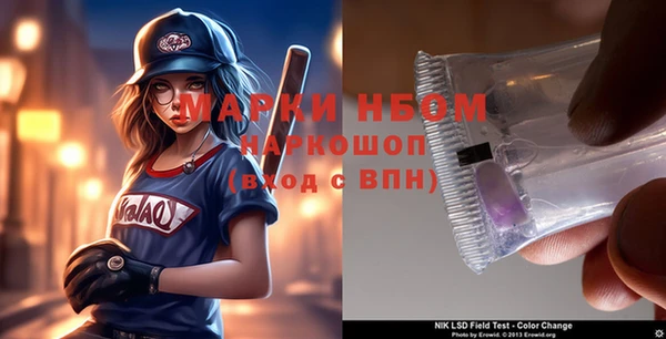 сатива Ельня