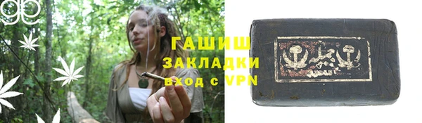 сатива Ельня