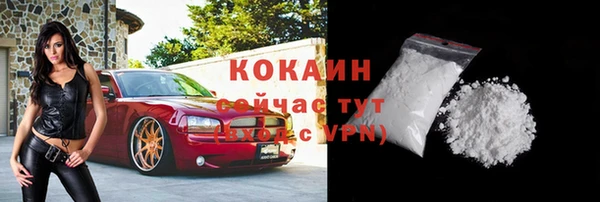 сатива Ельня