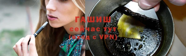 сатива Ельня