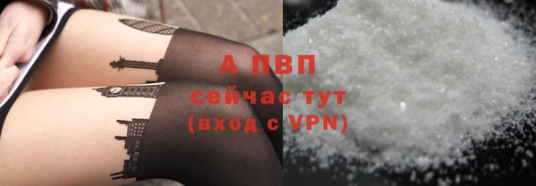 сатива Ельня