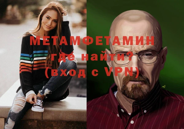 сатива Ельня