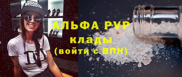 сатива Ельня