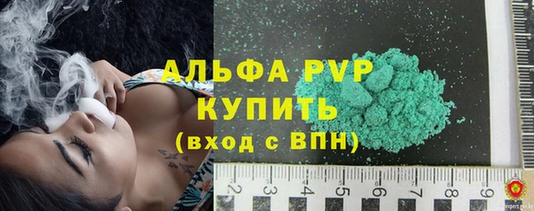 сатива Ельня
