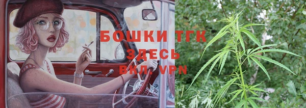 сатива Ельня