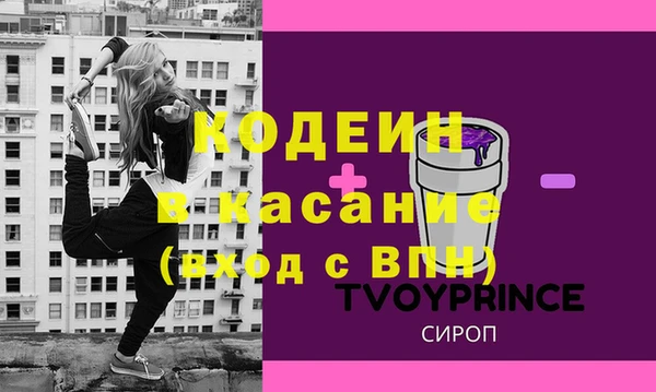 сатива Ельня