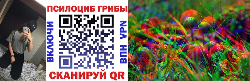 Купить закладки  Шарья  Галлюциногенные грибы прущие грибы 